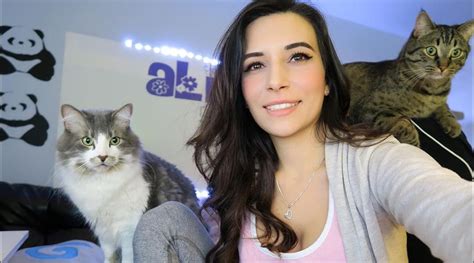 alinity cat|Alinity accused of abusing cats during Twitch streams